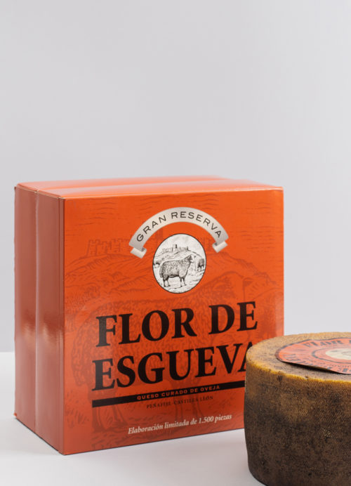 Flor de Esgueva
